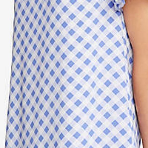 Ann Taylor Blue Gingham Ruffle Sleeve Shift Dress - Picture 5 of 5